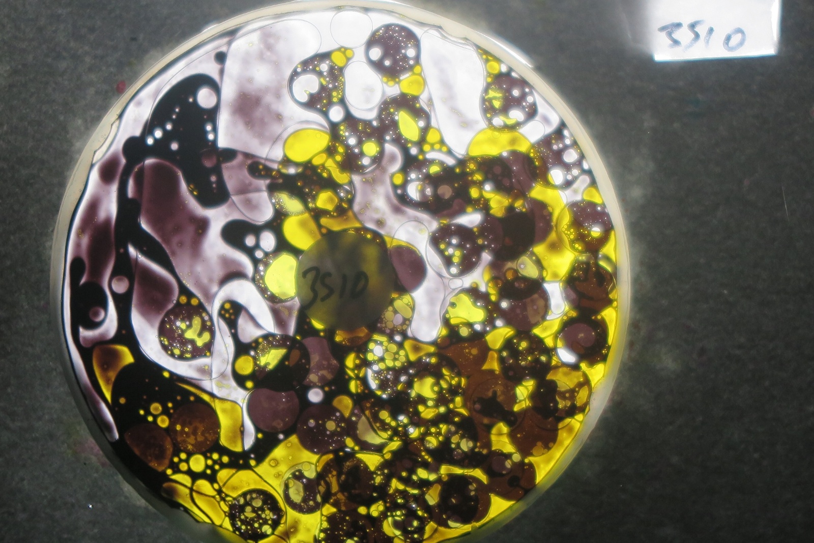 BV3510 bubble vision oil wheel